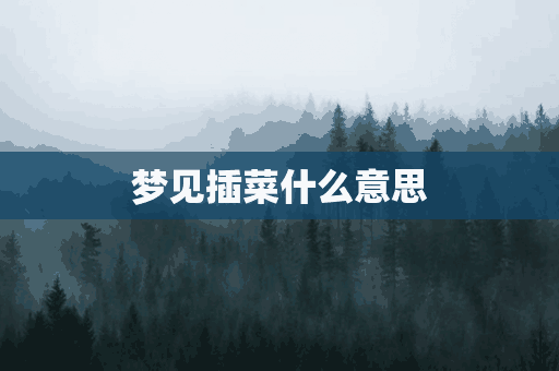 梦见插菜什么意思